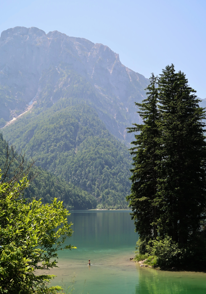 Untitled design copy